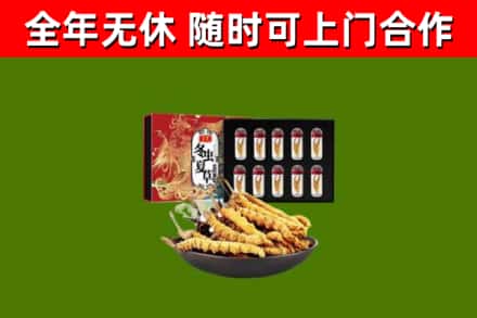 湘桥回收冬虫夏草价格