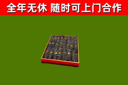 湘桥回收海参